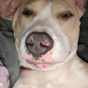 Meet your Posher, Izzi